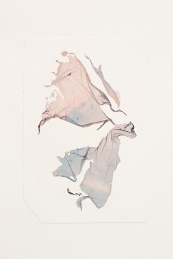 rebecca lena polaroid sx70 manipulation