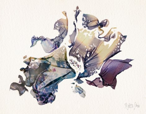 egoni polaroid lift off