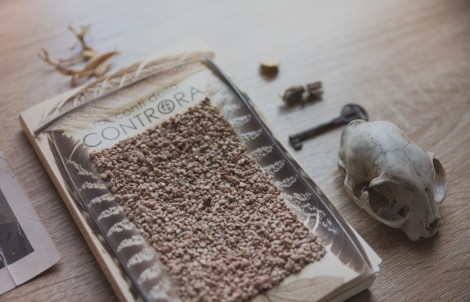 racconti della controra_-17